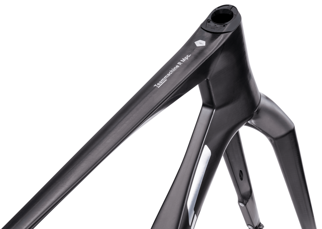 BMC Teammachine R Masterpiece Frameset